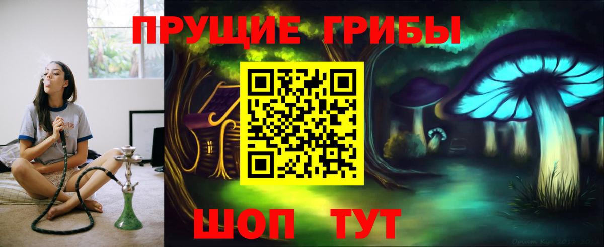 Красноармейск  Галлюциногенные грибы прущие грибы  Вход с VPN 